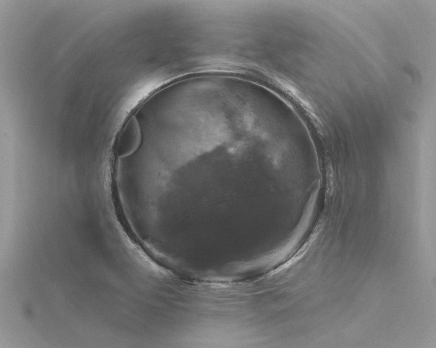 X0000116281463200911301347