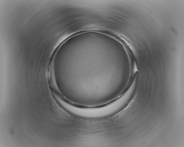 X0000116281465200911301347