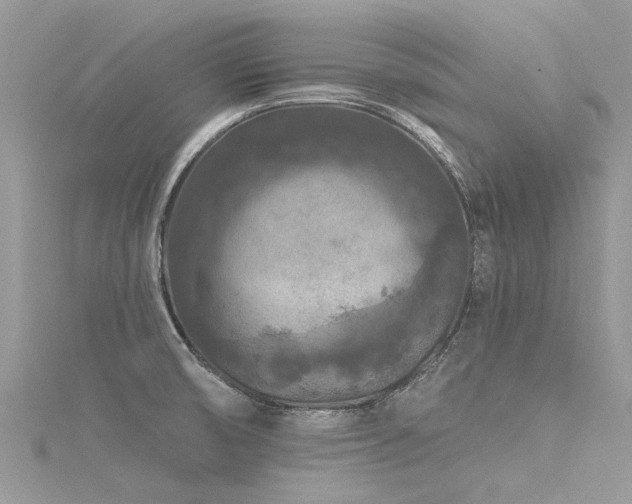 X0000116281474200911301347