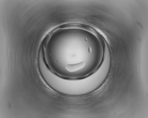 X0000116281477200911301347