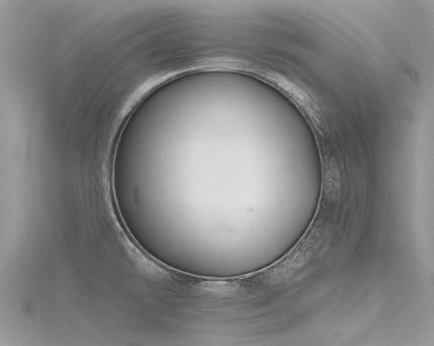 X0000116281478200911301347