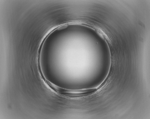 X0000116281484200911301347