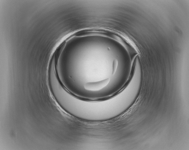 X0000116281485200911301347