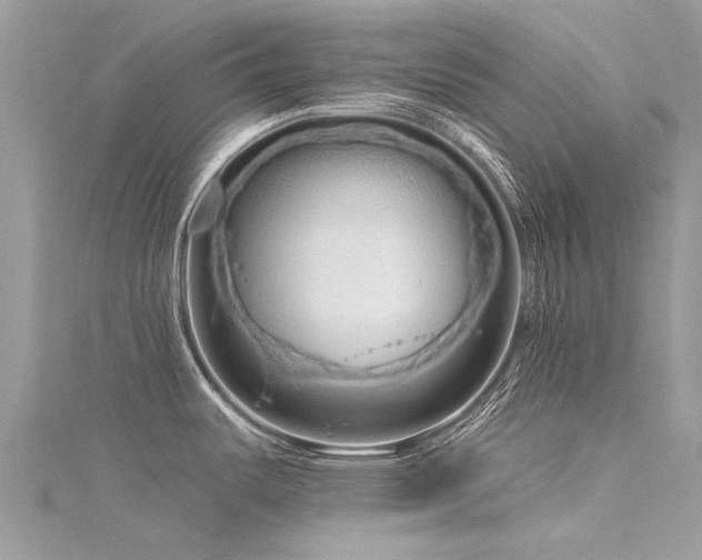 X0000116281487200911301347