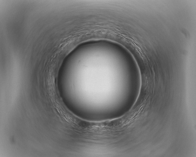 X0000116281489200911301346