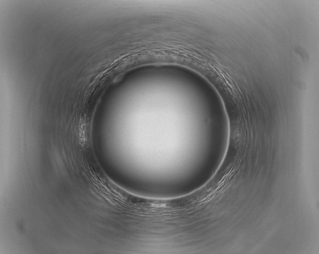 X0000116281490200911301346
