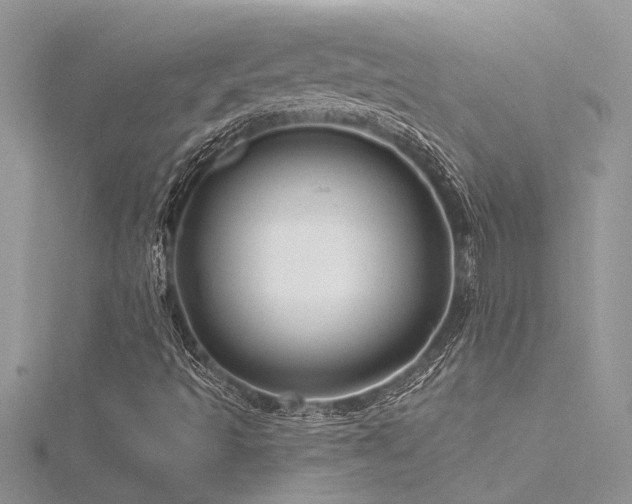 X0000116281493200911301347