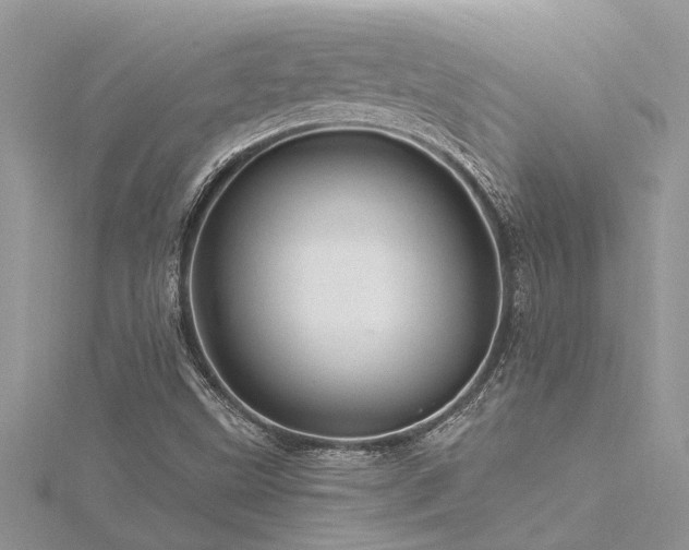 X0000116281499200911301347