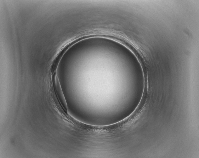X0000116281501200911301347