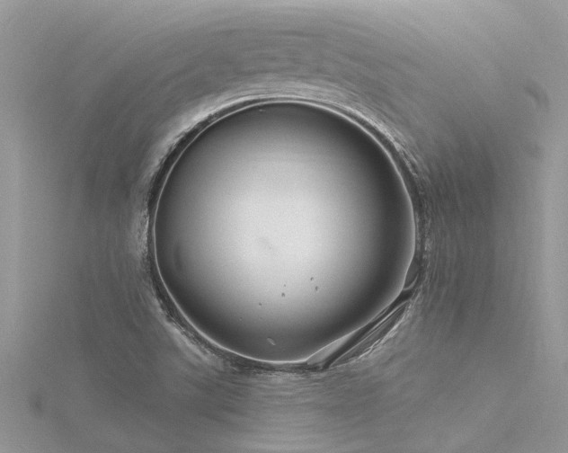 X0000116281507200911301347