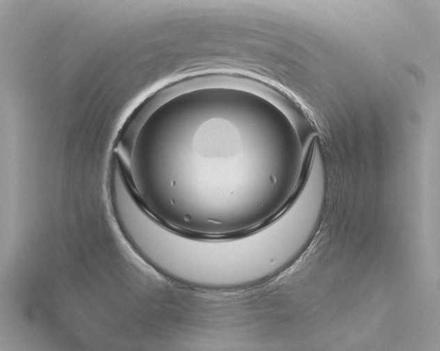X0000116281518200911301347