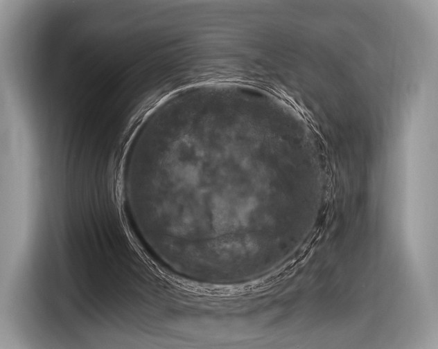 X0000116280002200912071159