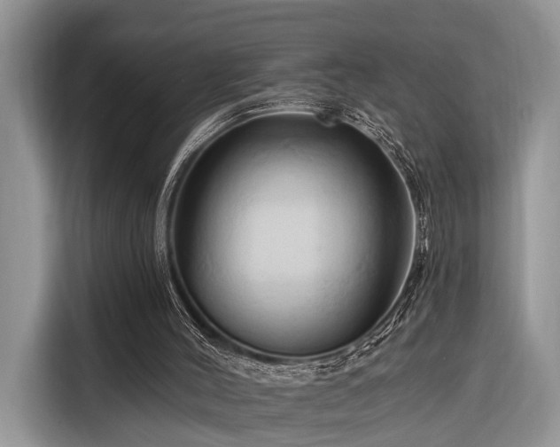 X0000116280004200912071159