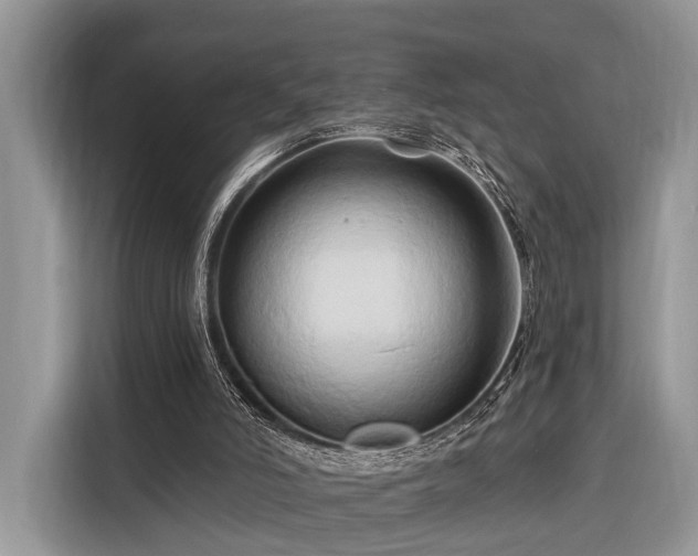 X0000116280006200912071159