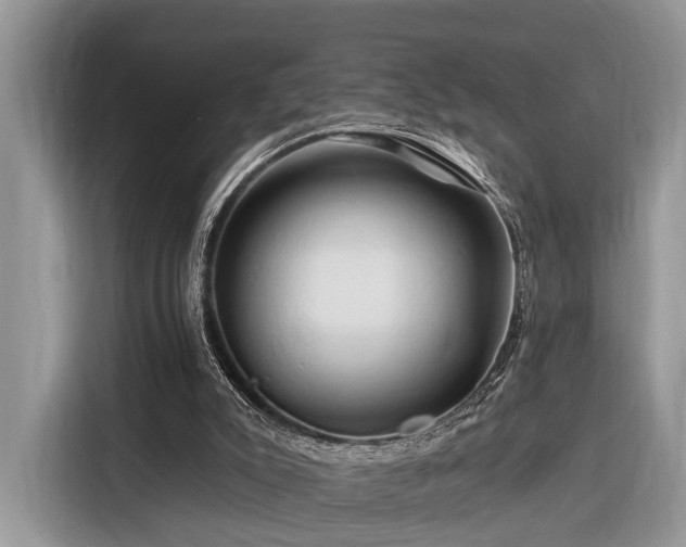X0000116280007200912071159