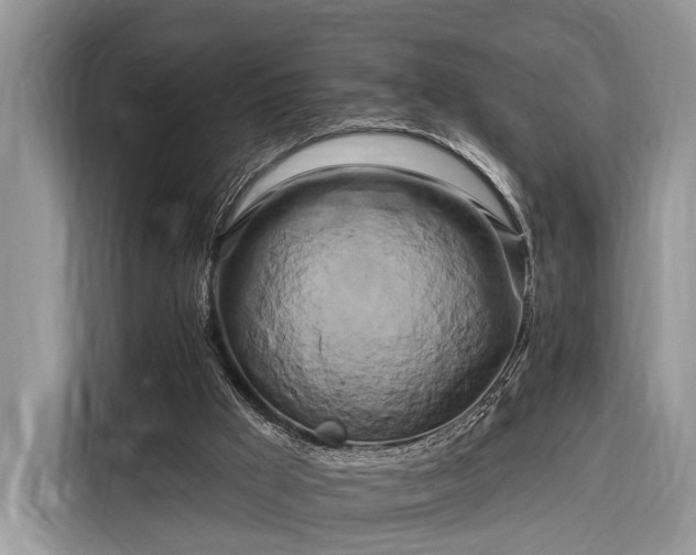 X0000116280009200912071159