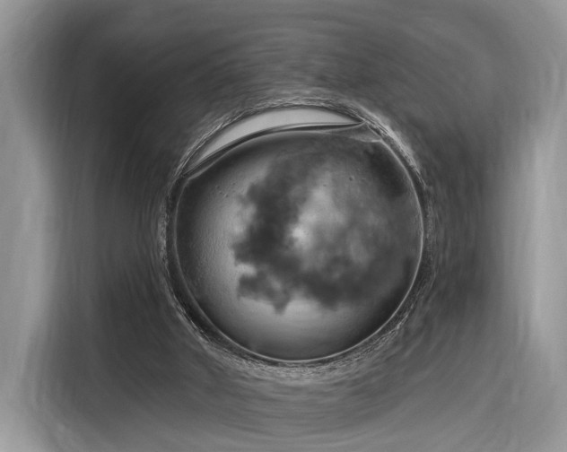 X0000116280010200912071159
