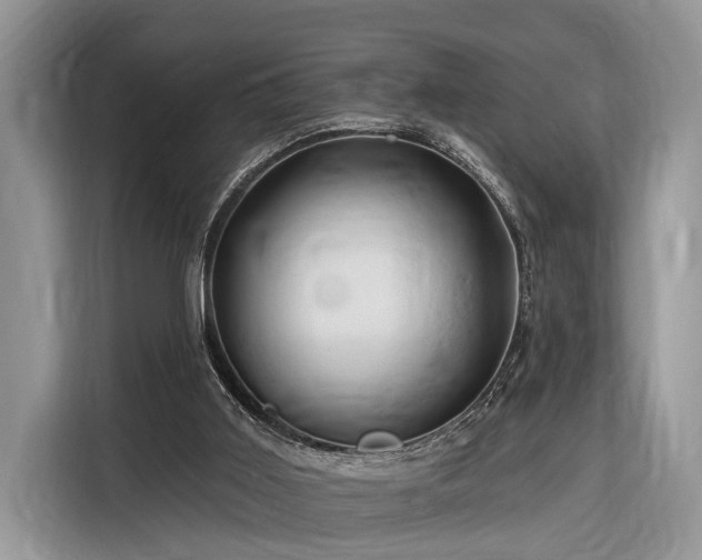 X0000116280011200912071159