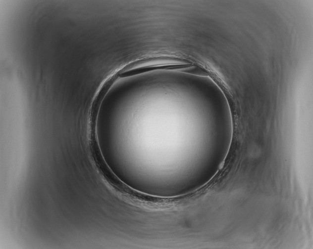 X0000116280012200912071159