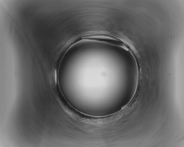 X0000116280013200912071159