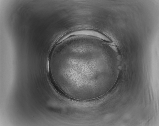 X0000116280014200912071159