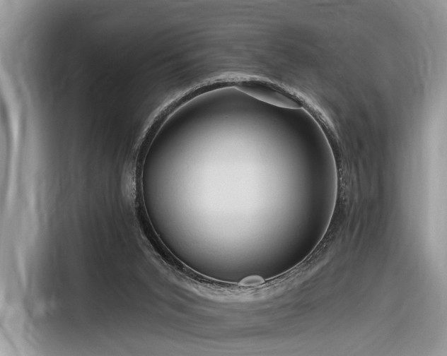 X0000116280015200912071159