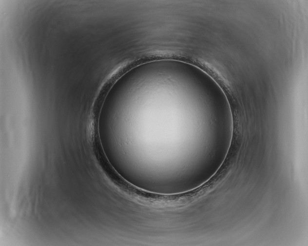 X0000116280016200912071159