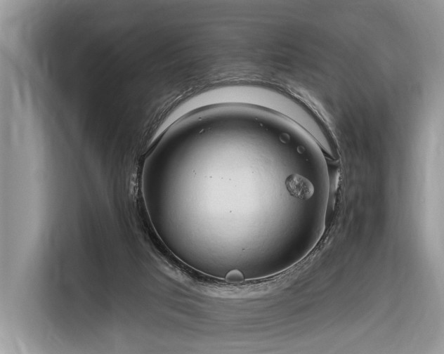 X0000116280017200912071159