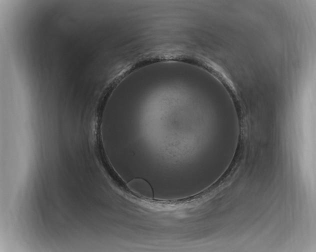 X0000116280018200912071159