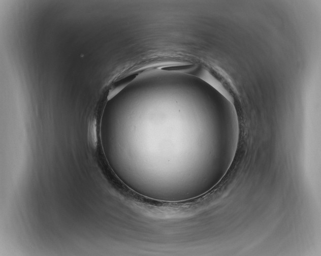 X0000116280020200912071159
