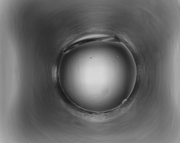 X0000116280024200912071159