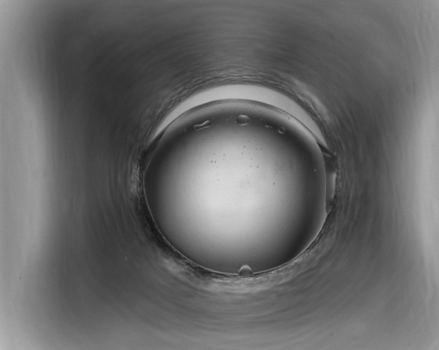 X0000116280025200912071159