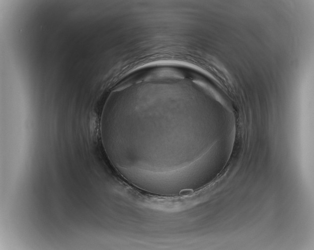 X0000116280029200912071159