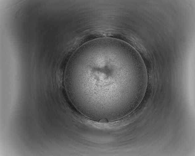 X0000116280030200912071159