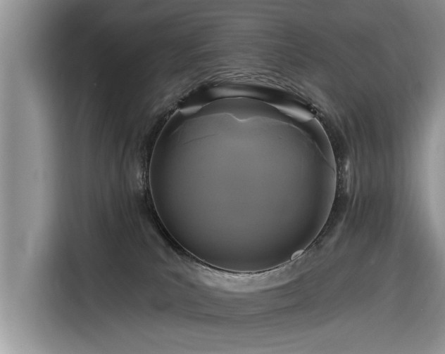 X0000116280039200912071159