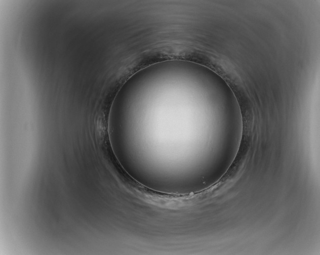 X0000116280040200912071159