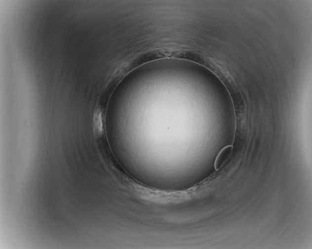 X0000116280042200912071159
