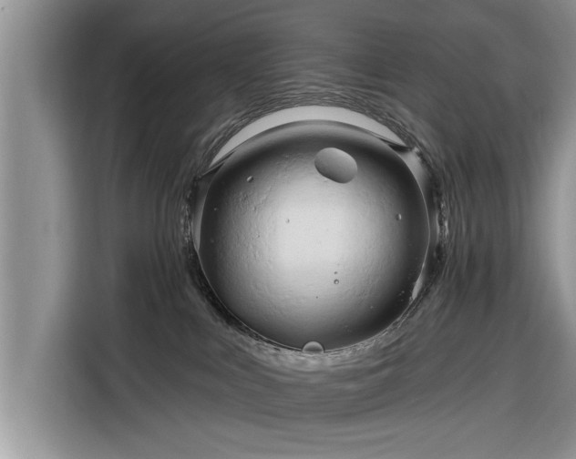 X0000116280043200912071159