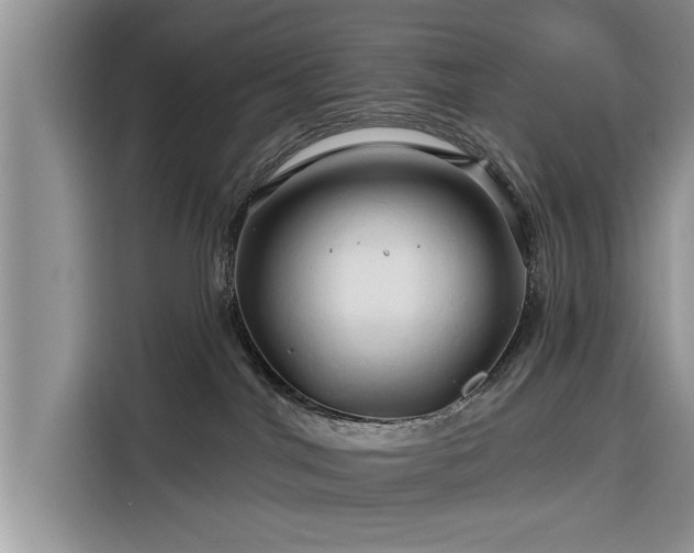 X0000116280044200912071159