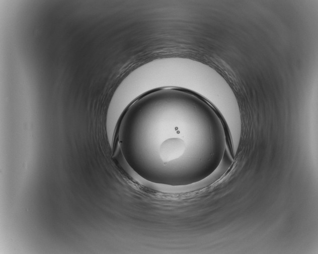 X0000116280045200912071159