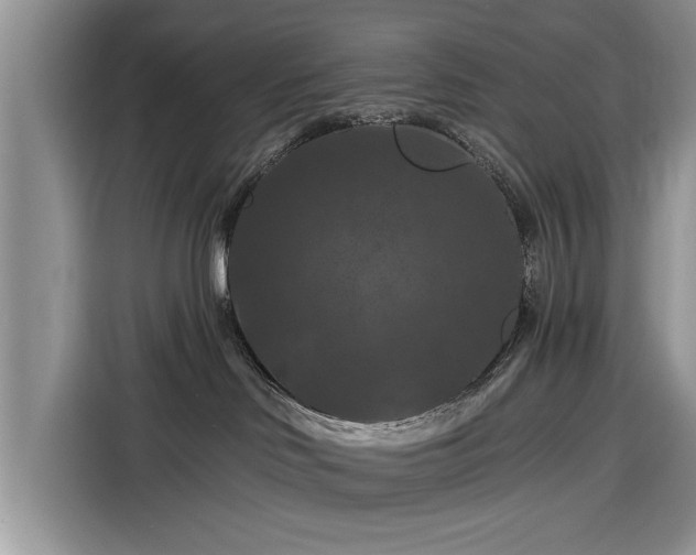 X0000116280046200912071159