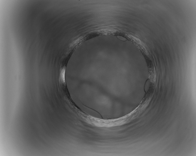 X0000116280047200912071159