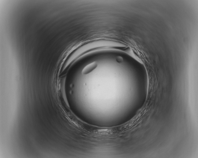 X0000116280050200912071158