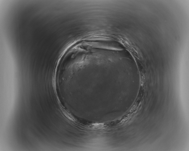 X0000116280052200912071158