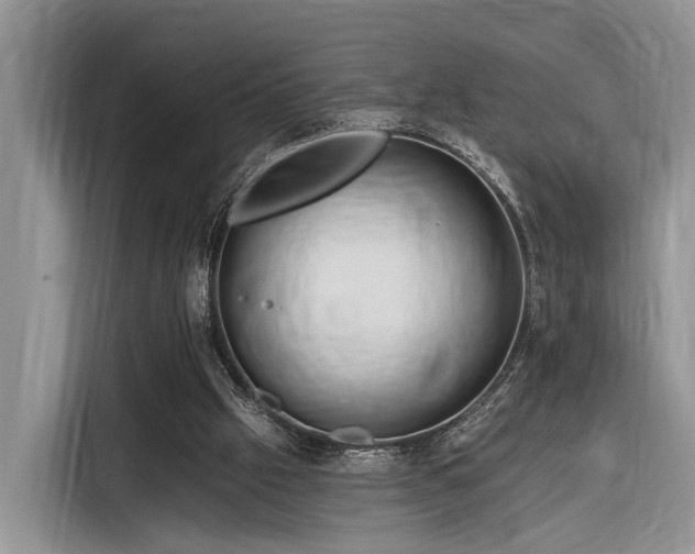 X0000116280057200912071158