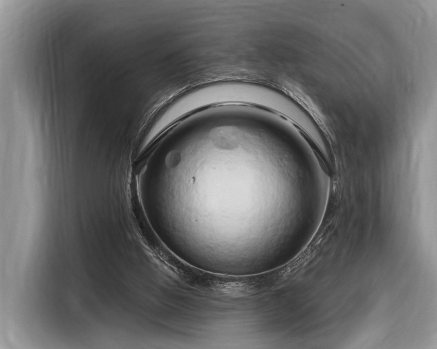 X0000116280058200912071158