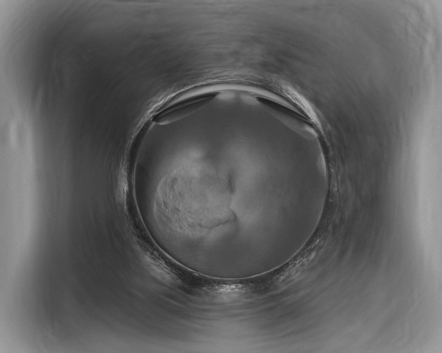 X0000116280059200912071158