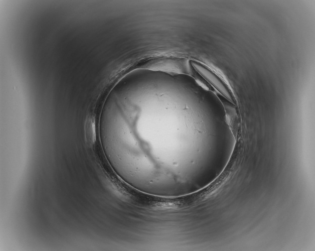 X0000116280061200912071158