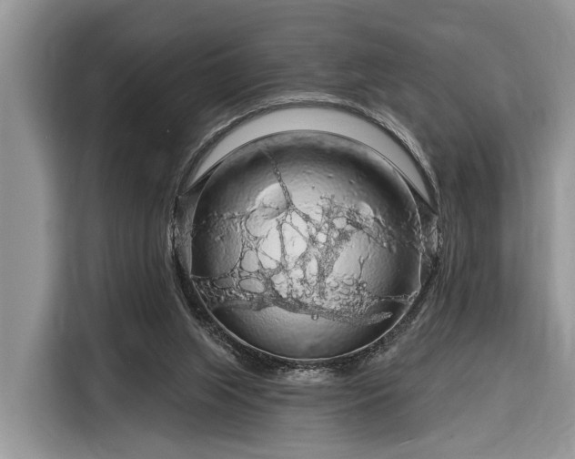 X0000116280063200912071158