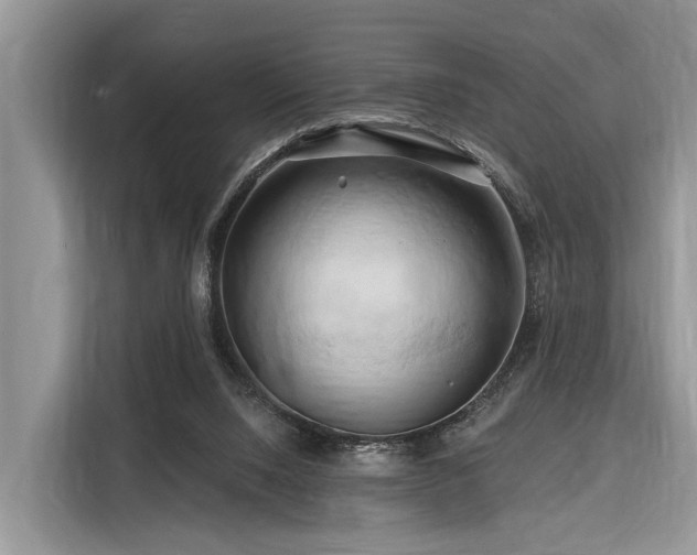 X0000116280064200912071158